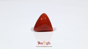 Red Coral - 9.15 Carat