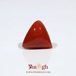 Red Coral - 9.15 Carat