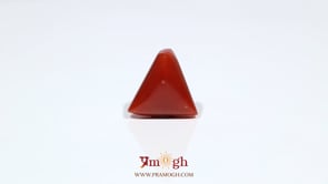 Red Coral - 8.7 Carat