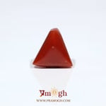 Red Coral - 8.7 Carat