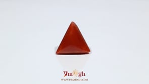 Red Coral - 9.45 Carat