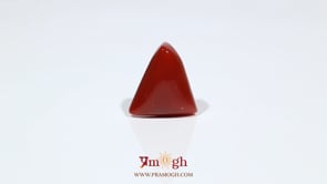 Red Coral - 9.95 Carat