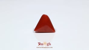 Red Coral - 9.9 Carat