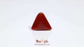 Red Coral - 9.05 Carat