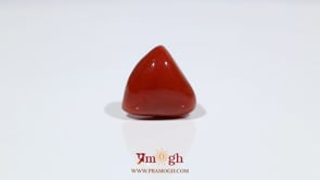 Red Coral - 16.75 Carat