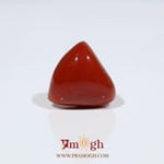 Red Coral - 16.75 Carat