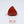 Load and play video in Gallery viewer, Red Coral - 16.75 Carat
