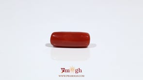 Red Coral - 7.2 Carat