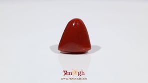 Red Coral - 18.15 Carat