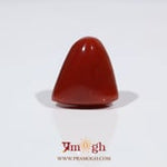 Red Coral - 18.15 Carat