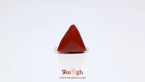Red Coral - 6.15 Carat