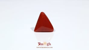 Red Coral - 8.2 Carat