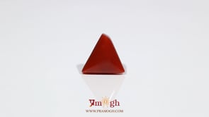 Red Coral - 6.15 Carat