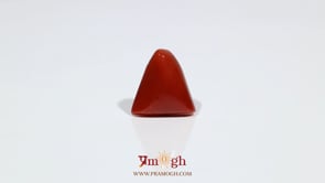 Red Coral - 7.75 Carat