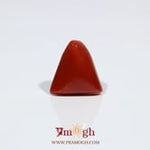 Red Coral - 7.75 Carat