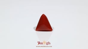 Red Coral - 6.6 Carat