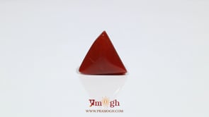 Red Coral - 7.3 Carat