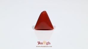 Red Coral - 7.35 Carat