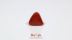 Red Coral - 6.6 Carat