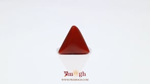 Red Coral - 6.95 Carat