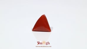 Red Coral - 7.6 Carat