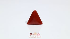 Red Coral - 7.05 Carat