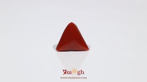 Red Coral - 7 Carat