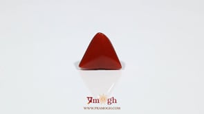 Red Coral - 6.45 Carat