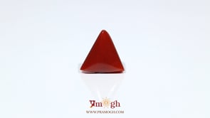 Red Coral - 7.2 Carat