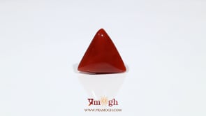 Red Coral - 7.35 Carat