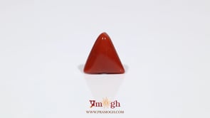 Red Coral - 6.15 Carat