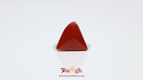 Red Coral - 8.1 Carat