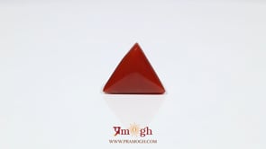 Red Coral - 7.2 Carat