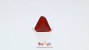 Red Coral - 5.65 Carat