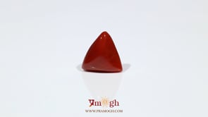 Red Coral - 6.8 Carat