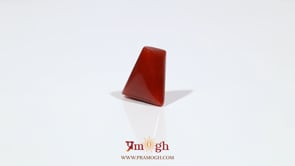 Red Coral - 6.95 Carat