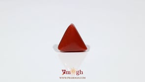 Red Coral - 7.05 Carat