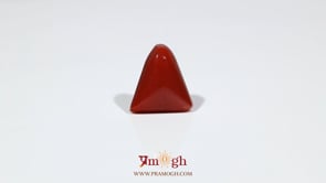 Red Coral - 8.75 Carat