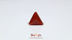 Red Coral - 6.5 Carat