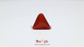 Red Coral - 8.55 Carat