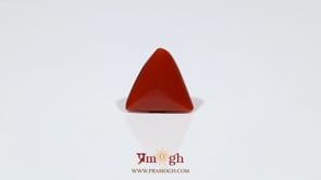 Red Coral - 7.9 Carat