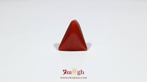 Red Coral - 7.9 Carat