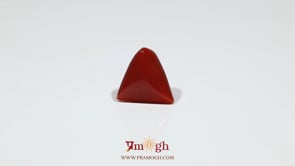 Red Coral - 7.2 Carat