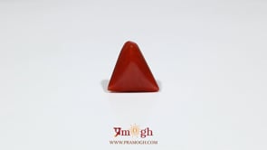 Red Coral - 6.1 Carat