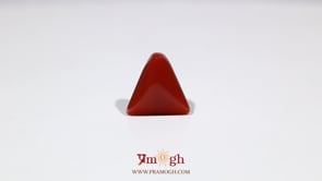 Red Coral - 7.8 Carat