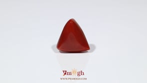 Red Coral - 10.5 Carat