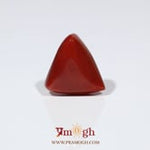 Red Coral - 10.5 Carat