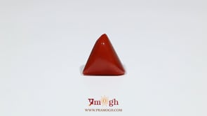 Red Coral - 6.3 Carat