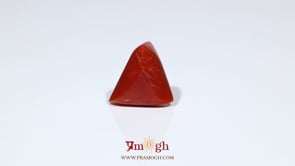 Red Coral - 8.65 Carat