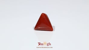 Red Coral - 7.25 Carat